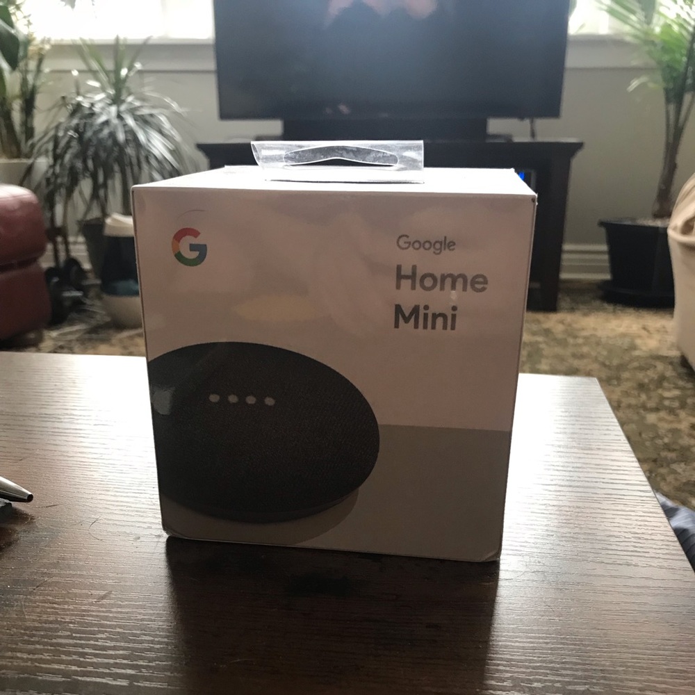 Charcoal google home mini
